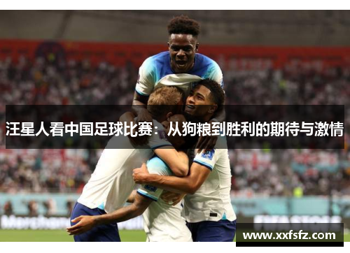 汪星人看中国足球比赛：从狗粮到胜利的期待与激情